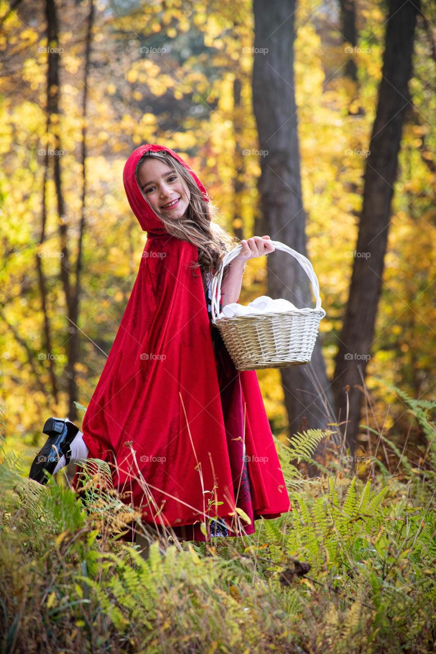 Little Red Riding Hood