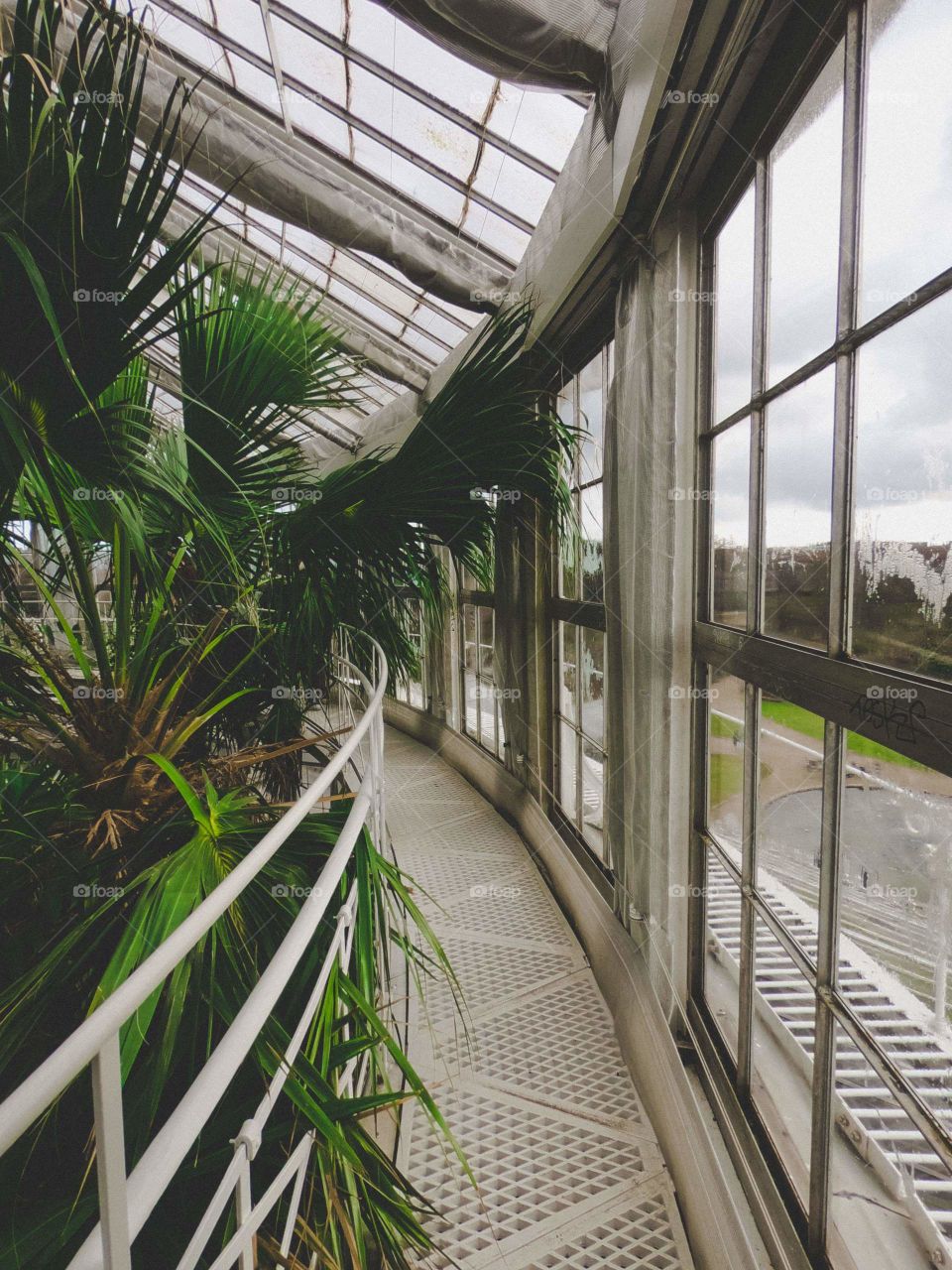 Botanical garden corridor