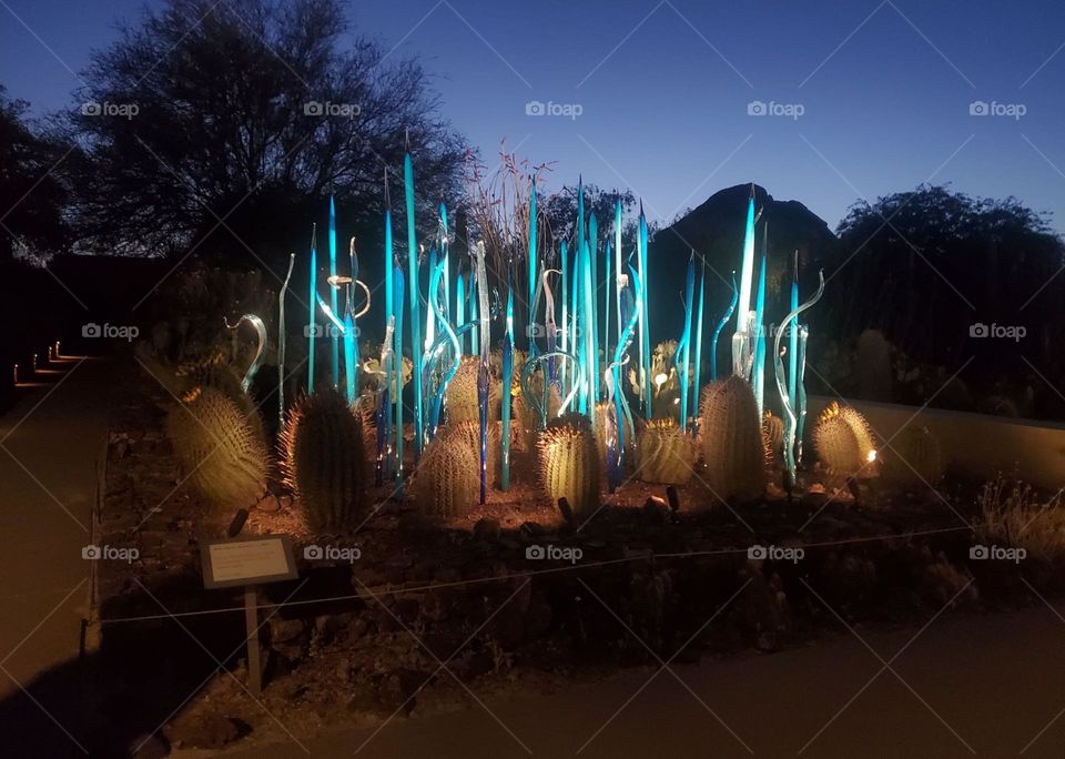 Night-time lights in desert botanical garden