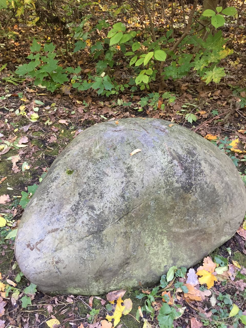 Big stone