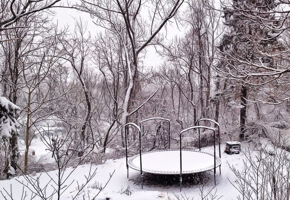 View of a garden in winter