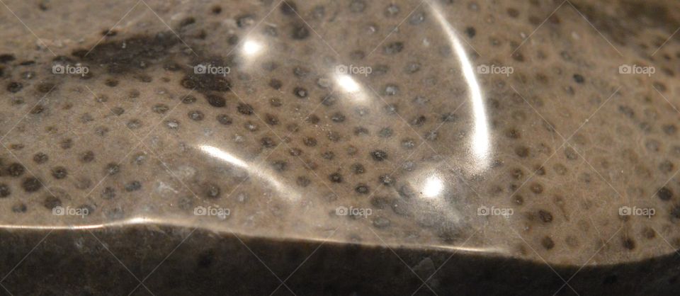 Petoski Fossil Stone