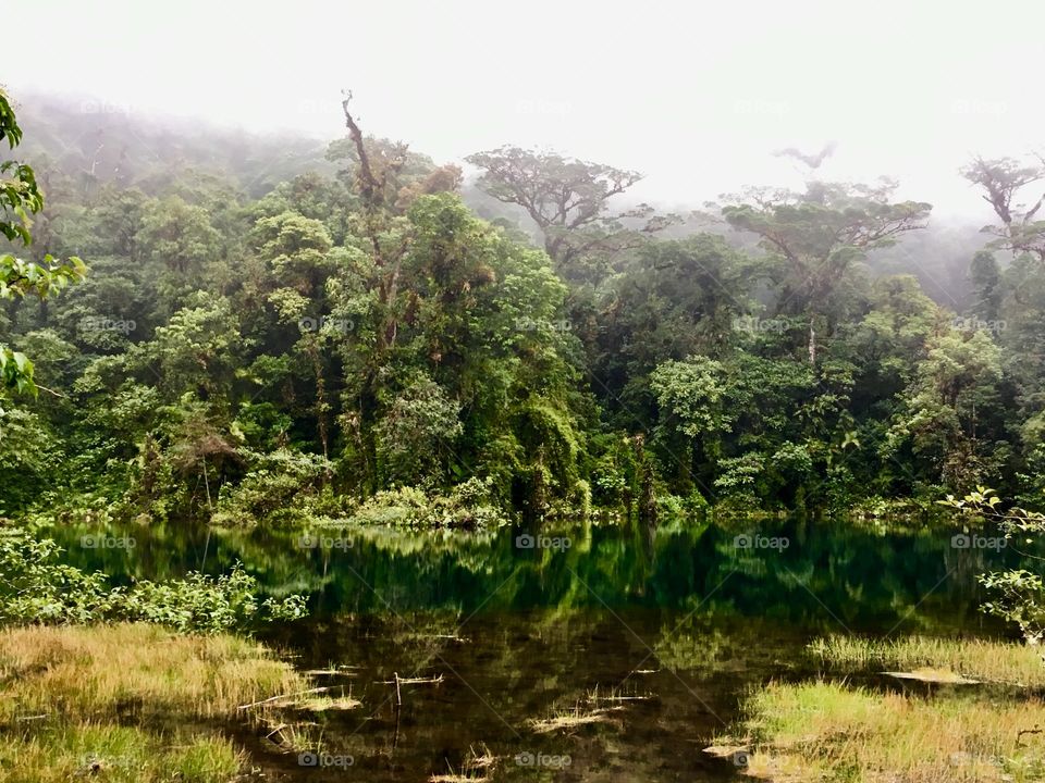 Juan Castro Blanco National Park, Alajuela, Costa Rica
