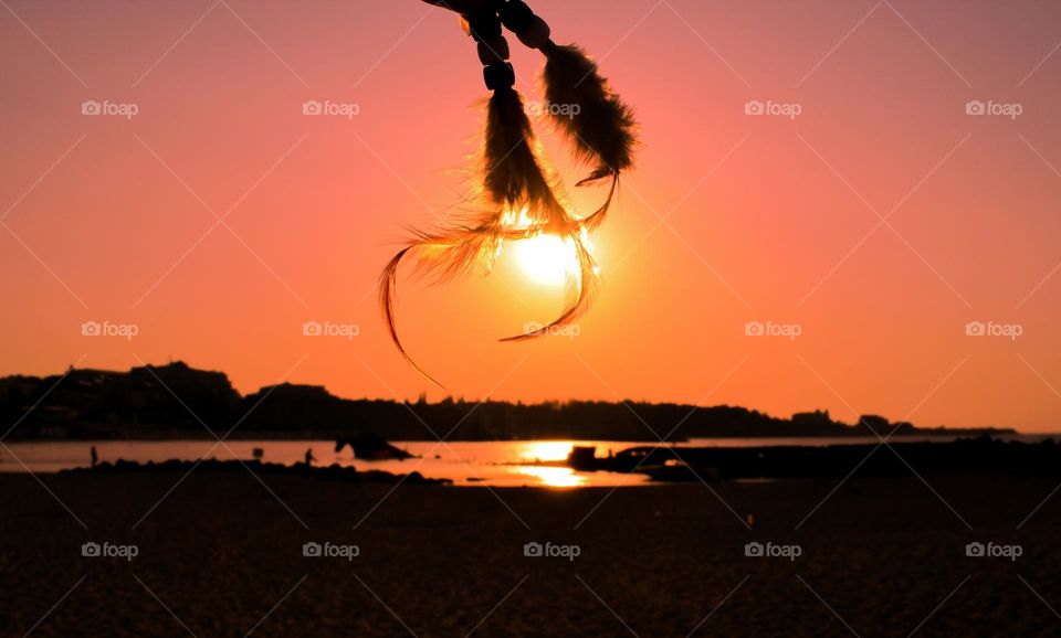 To tuch the sunrise with a feather