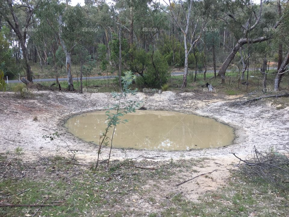 Picture of a dam in the bush