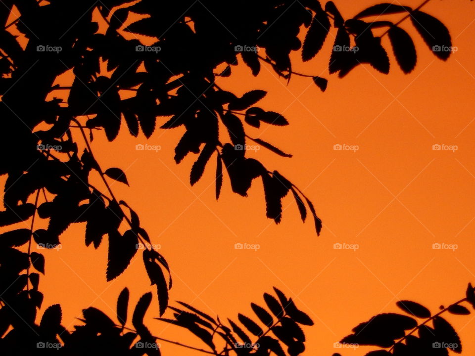 We See Darkness Between Each Corner