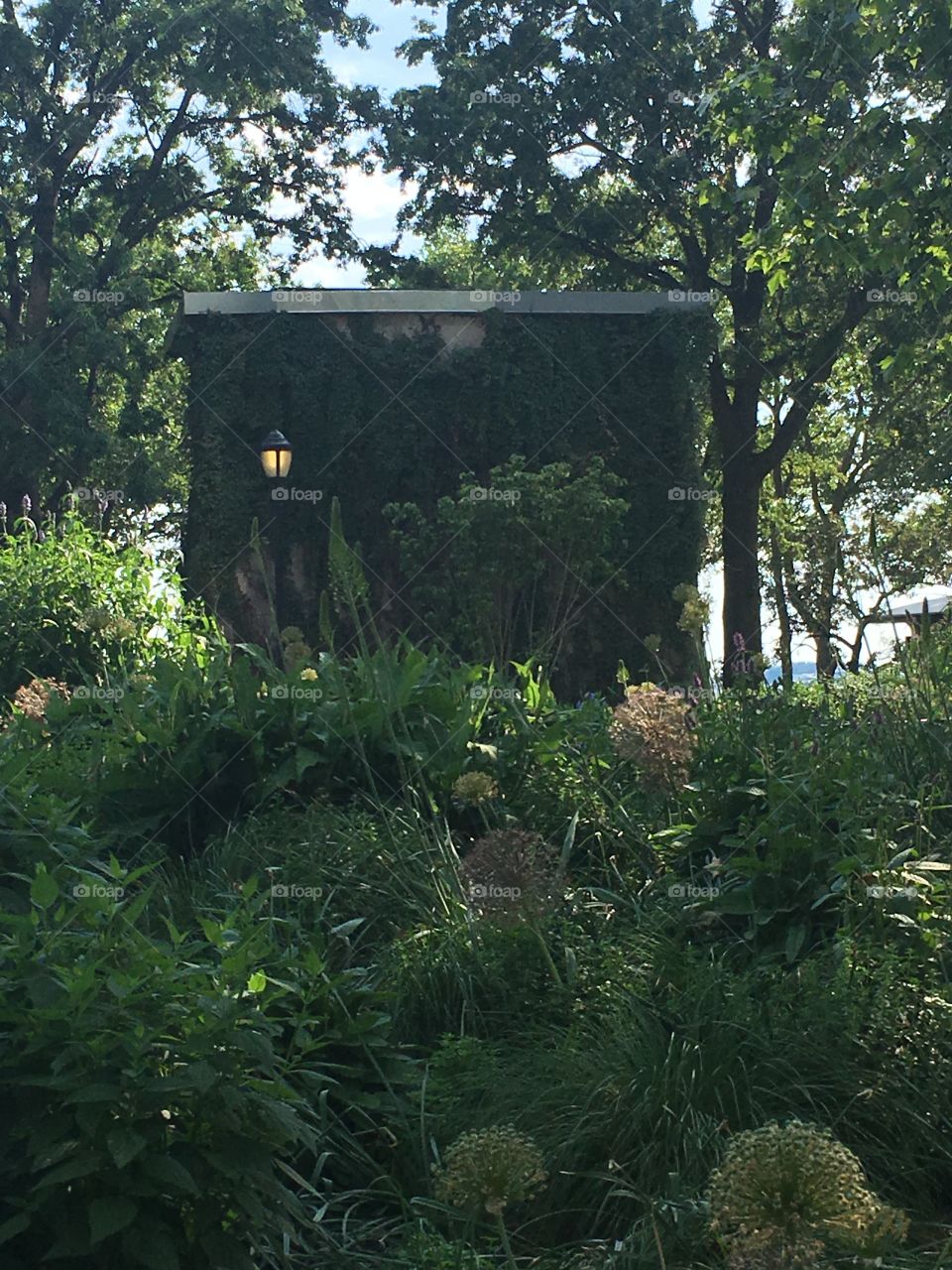 No Person, Tree, Wood, Landscape, Garden