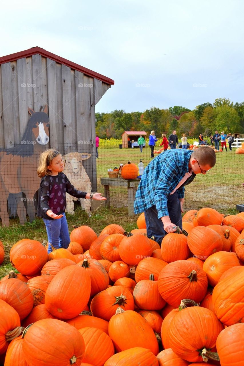 Pumpkin patch fun