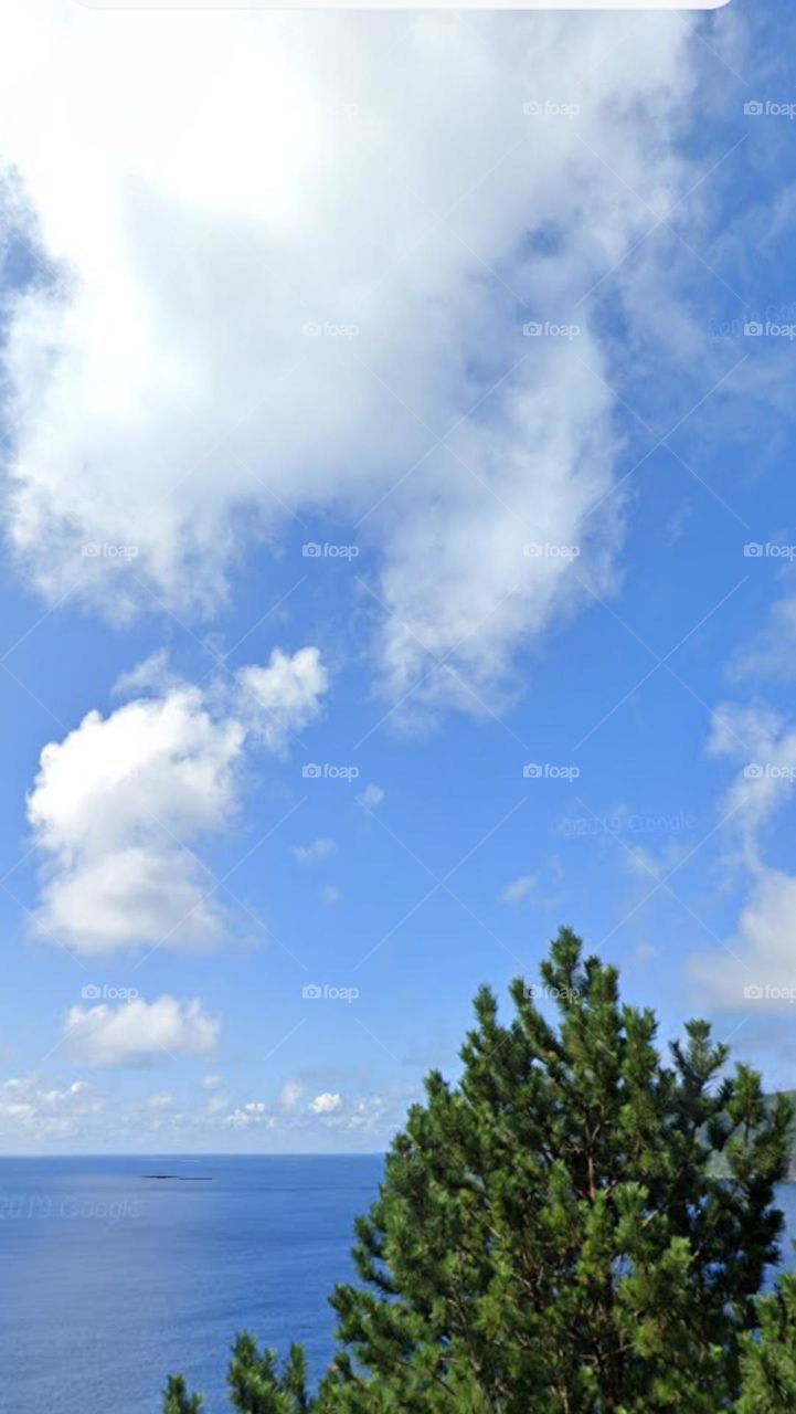 Hạ cánh giửa không trung.