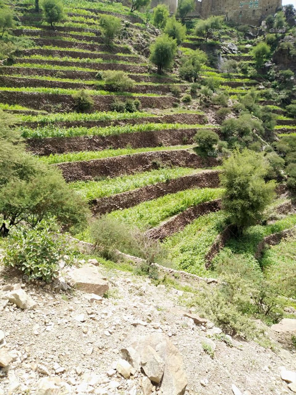 Glory be to God, the magnificent and picturesque view and the natural green trees are a view that is nothing more wonderful than it