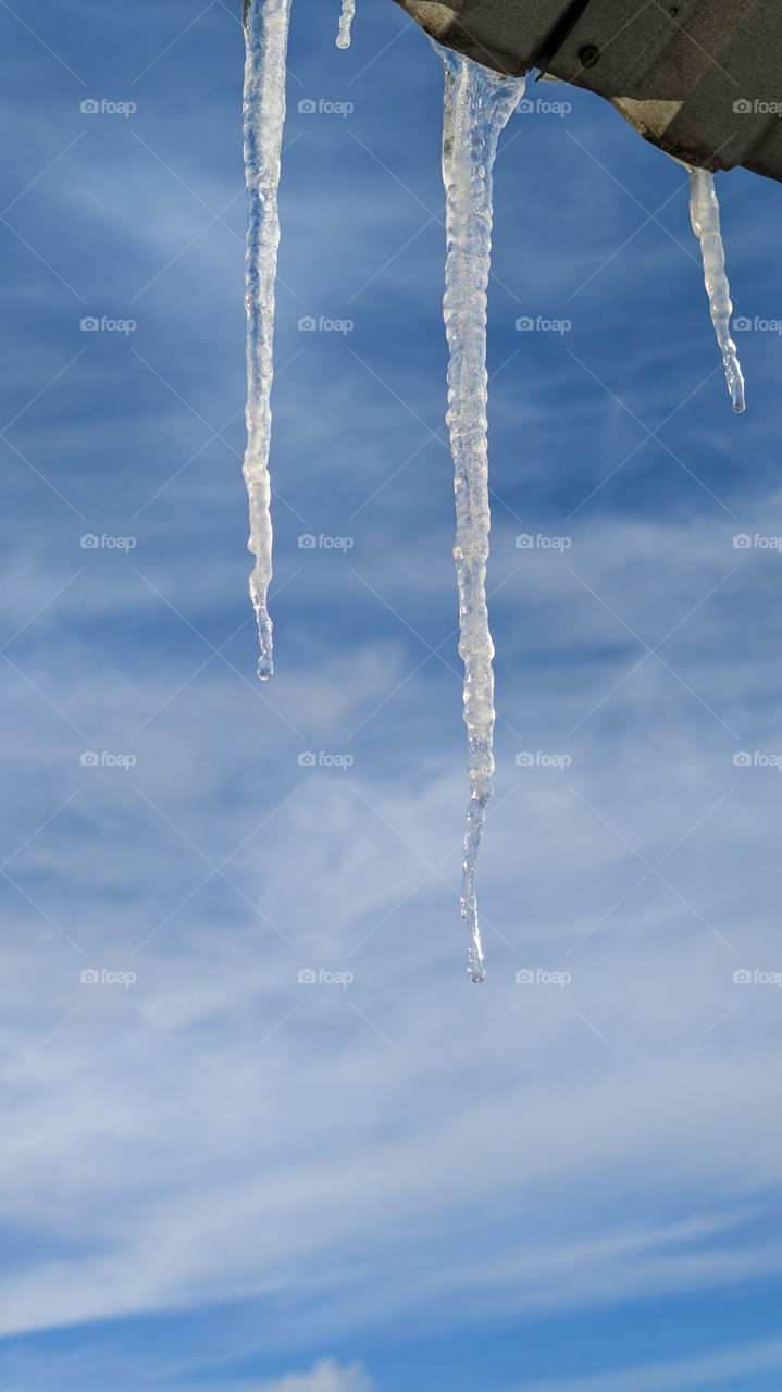 Melting icicles against the blue sky