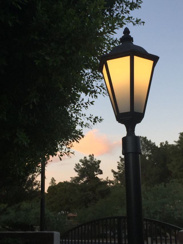 Arizona evening