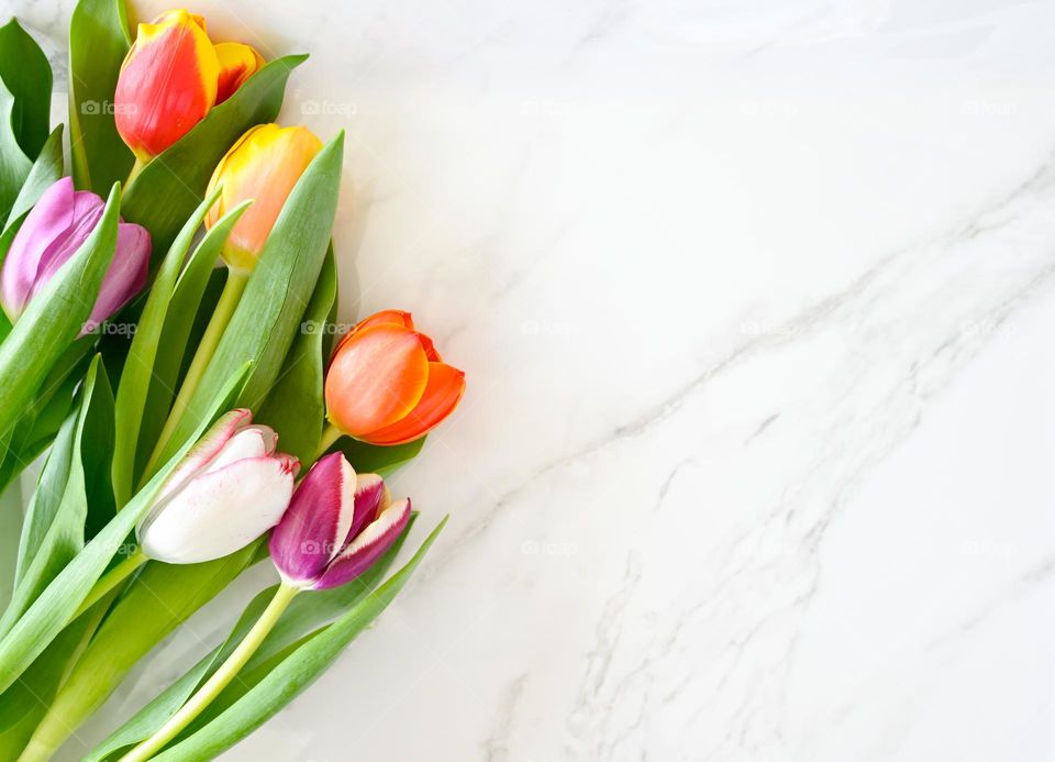 Minimal springtime tulips on marble