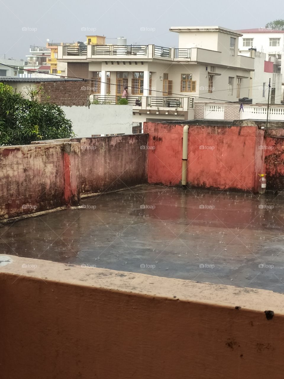 Monsoon finding it hard to say bye bye. There were heavy showers some 5 minutes back.