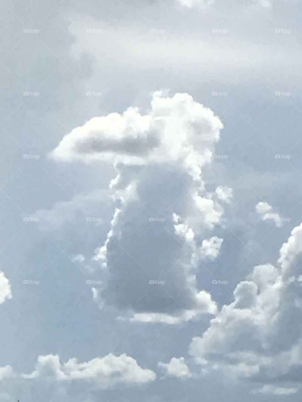 Is that cloud a bird?