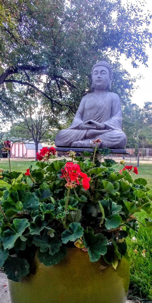 peaceful Buddha