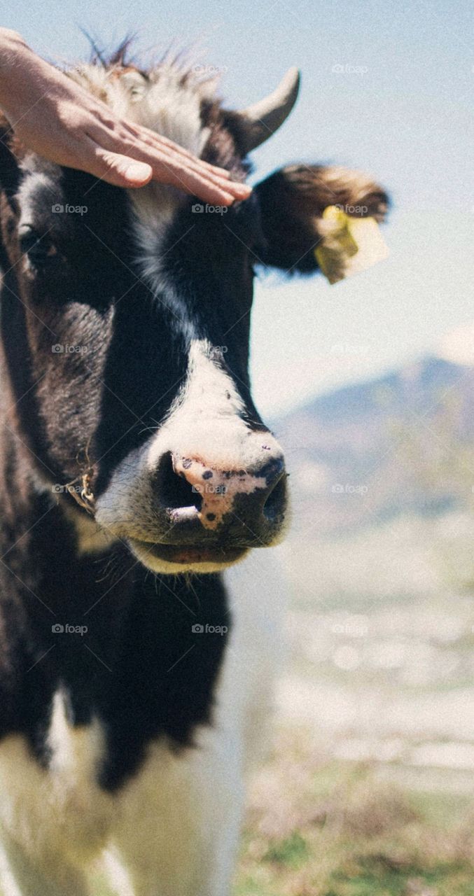 why are you looking at me?