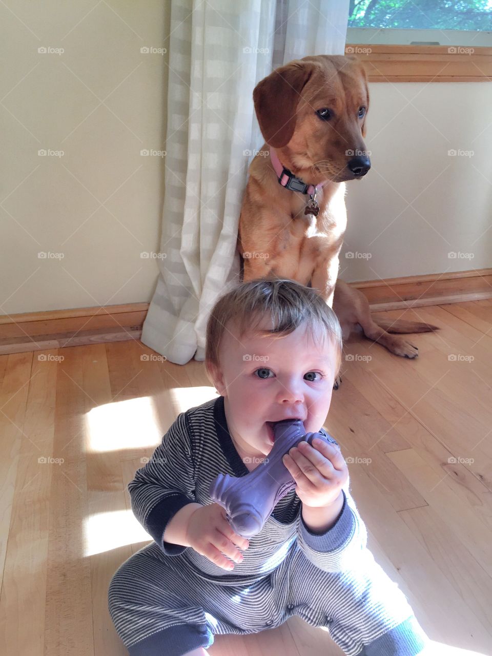 Cute baby playing with toy