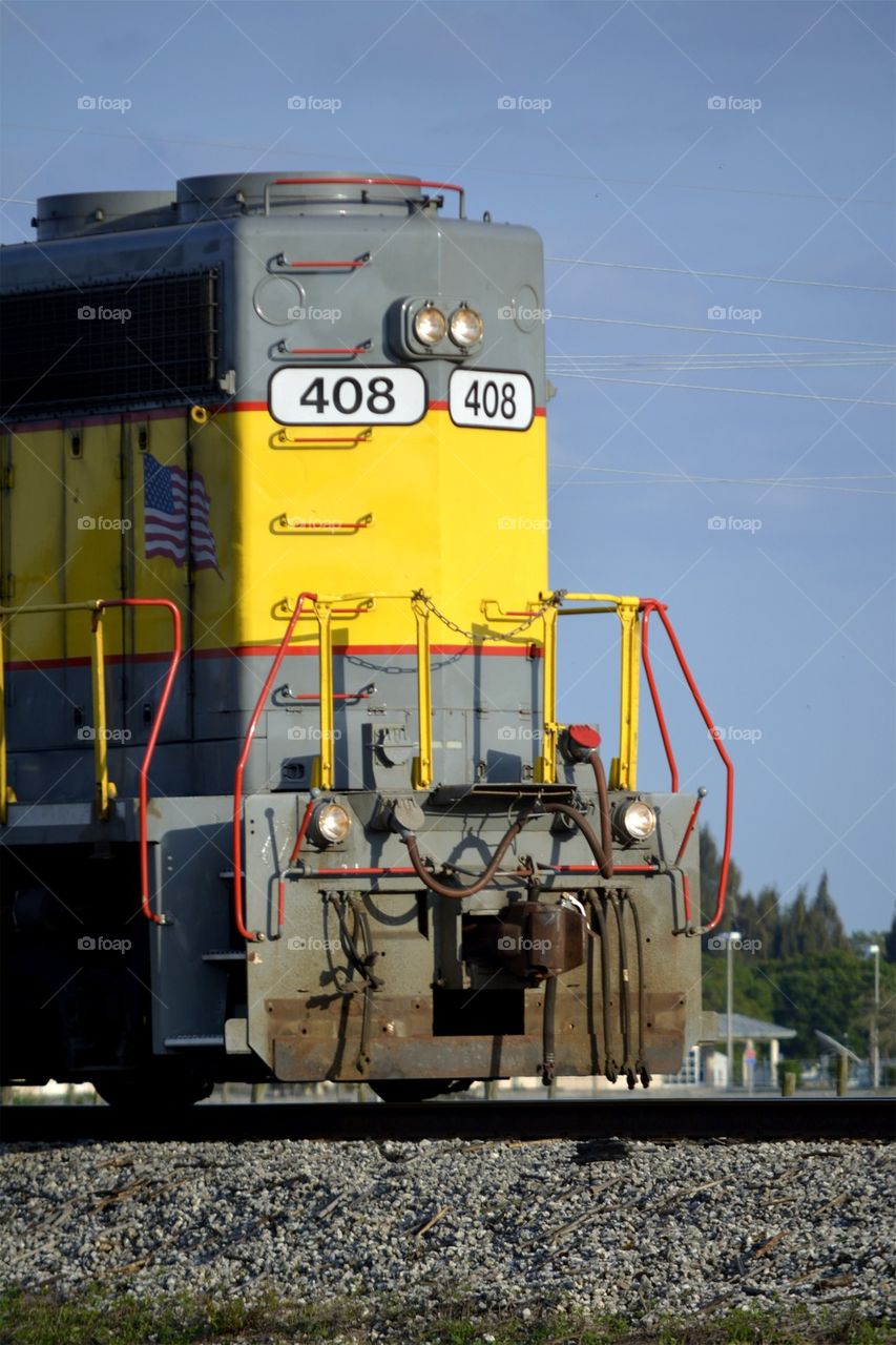 Train Carrying Sugar Cane