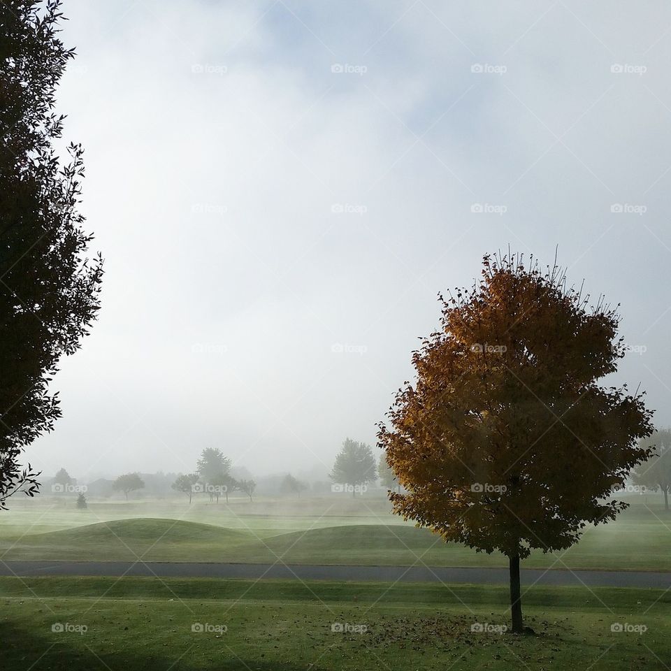 Morning Mist Lifting In The Sunshine