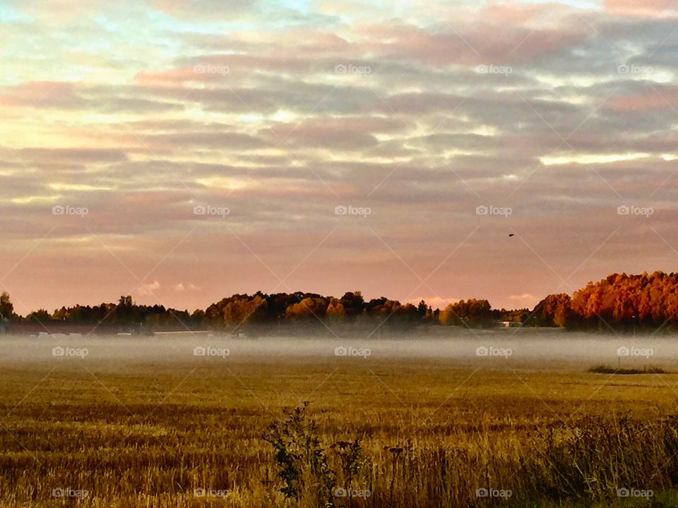 Landscape in autumn!