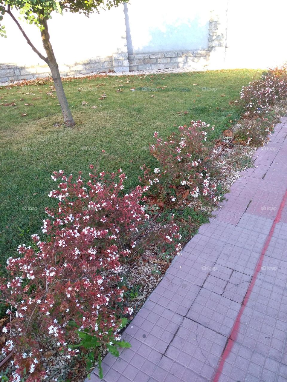 Best of 2021: Nature