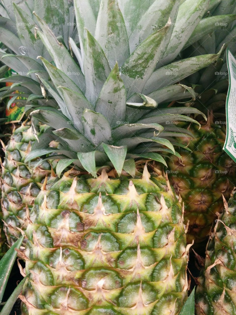 pineapples