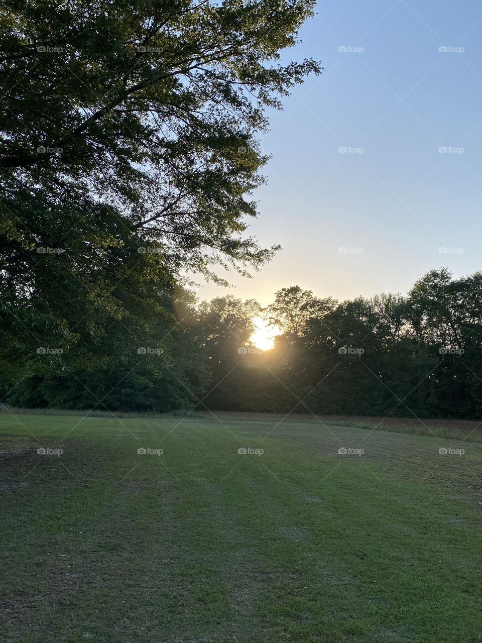 The beautiful Sun beginning to set 