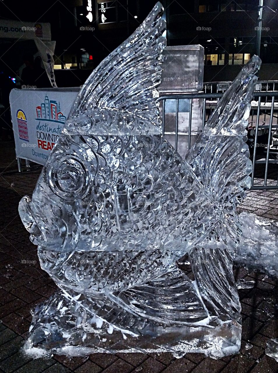 Ice fish