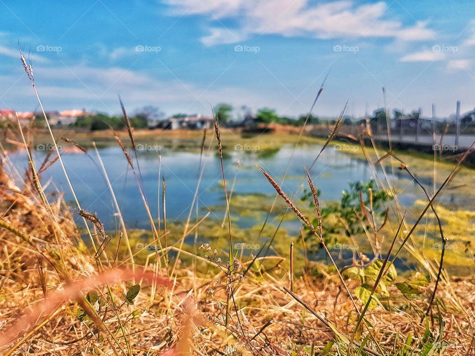 one morning on the coun