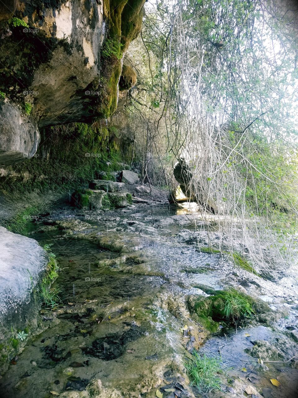 Natural springs