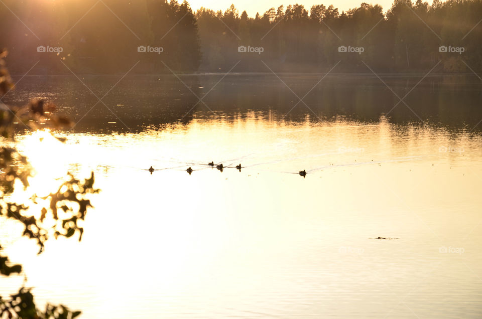 Sunset on the lake