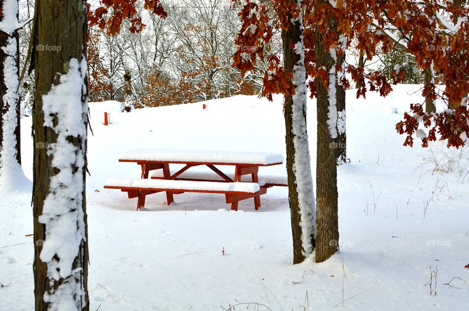 Snow covered picnic table