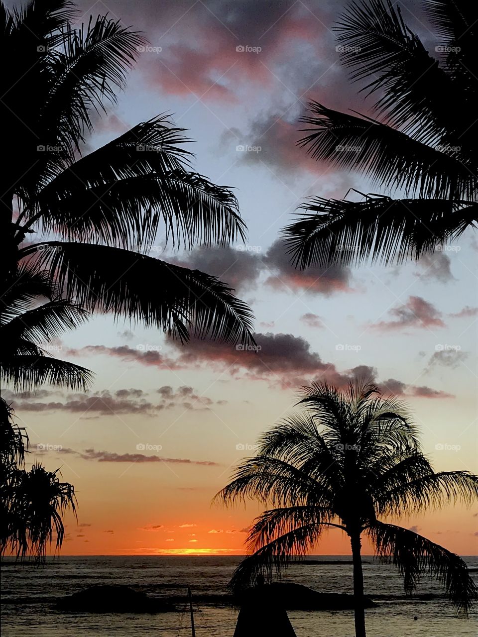 Hawaiian sunset creates purple clouds and silhouetted palm trees