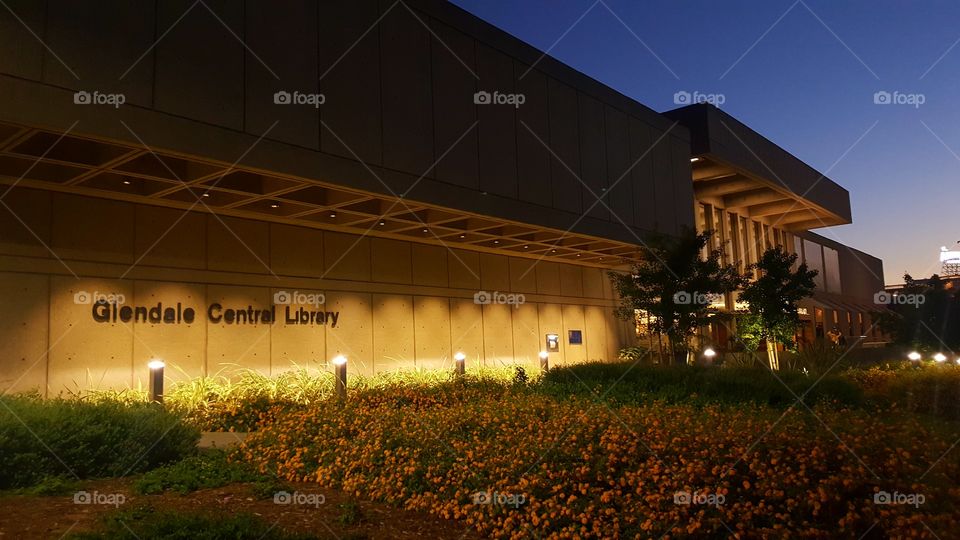 Glendale Library at Night