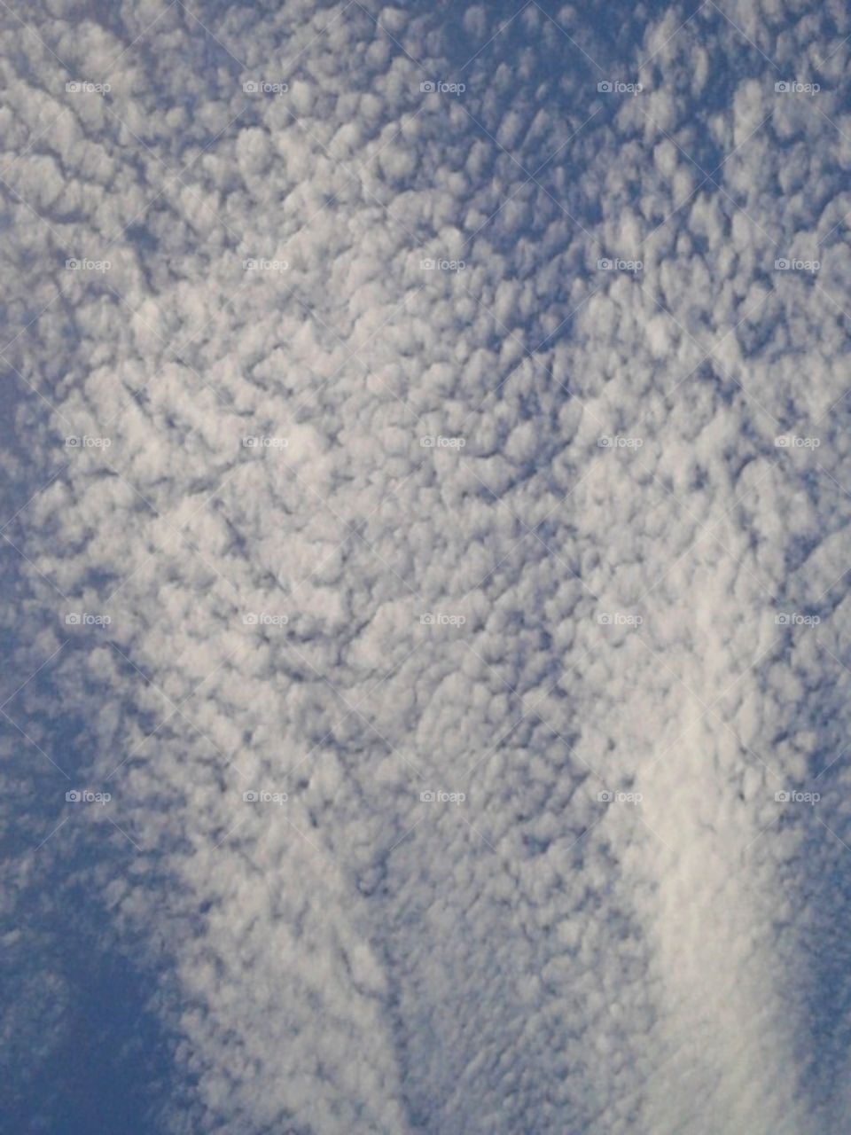 A combination of variety different faces in the blue sky.