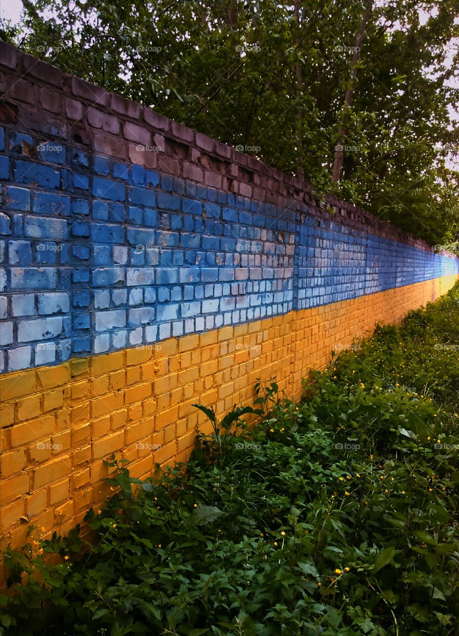 патріотичний паркан...