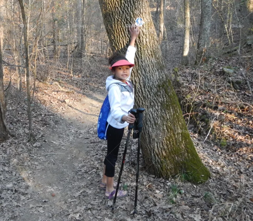 Tiny Hiker