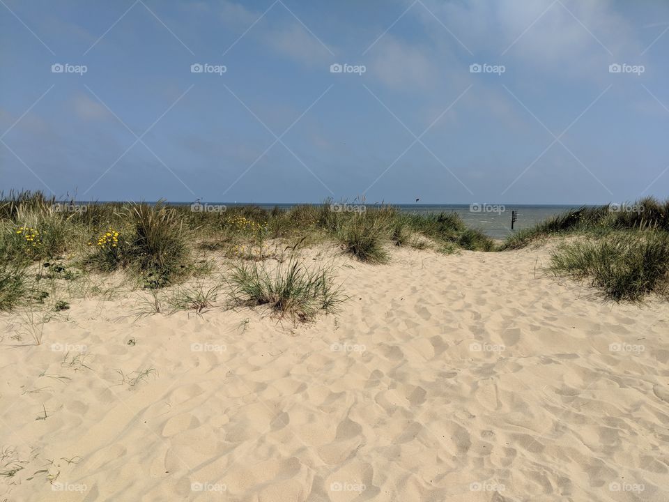 Sandy Norfolk Beach #norfolk #sandy #landscape #peaceful #beauty #grass