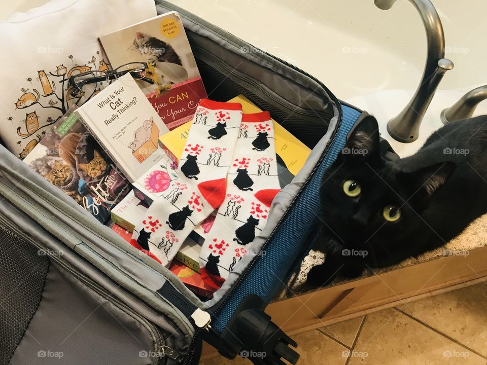 Let’s get ready to travel with best feel good cat reads, reading glasses, and favorite cozy kitty sweatshirt and socks for reading! 