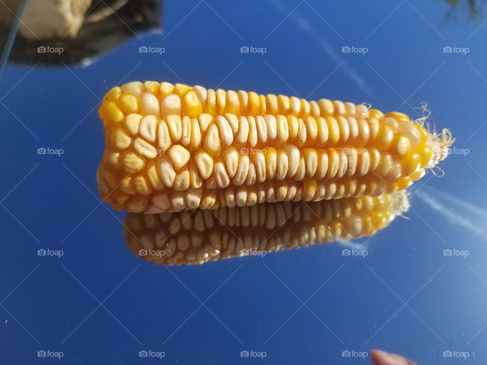 corn