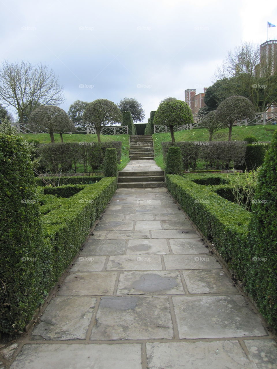 Garden, Guidance, No Person, Tree, Flower