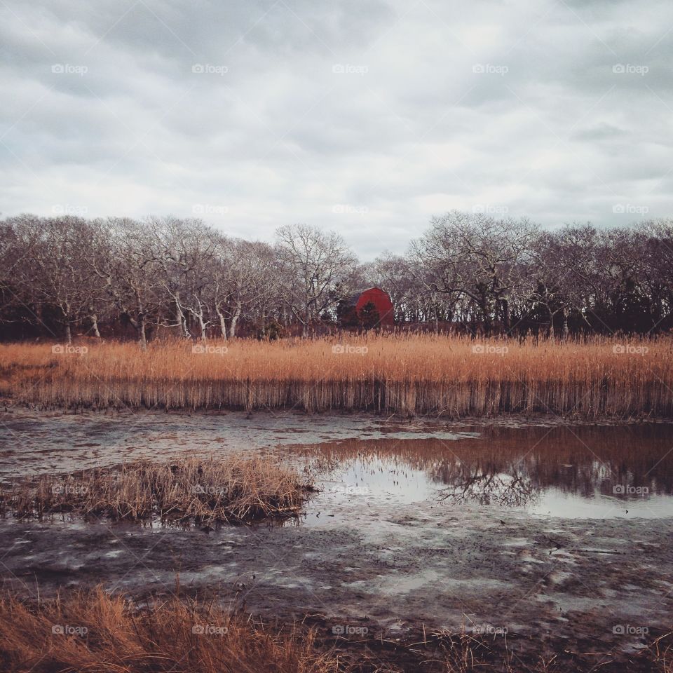 Red barn 