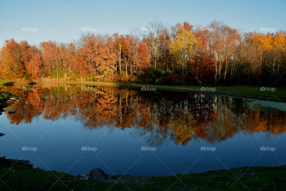 Autumn trees reflecting on lake