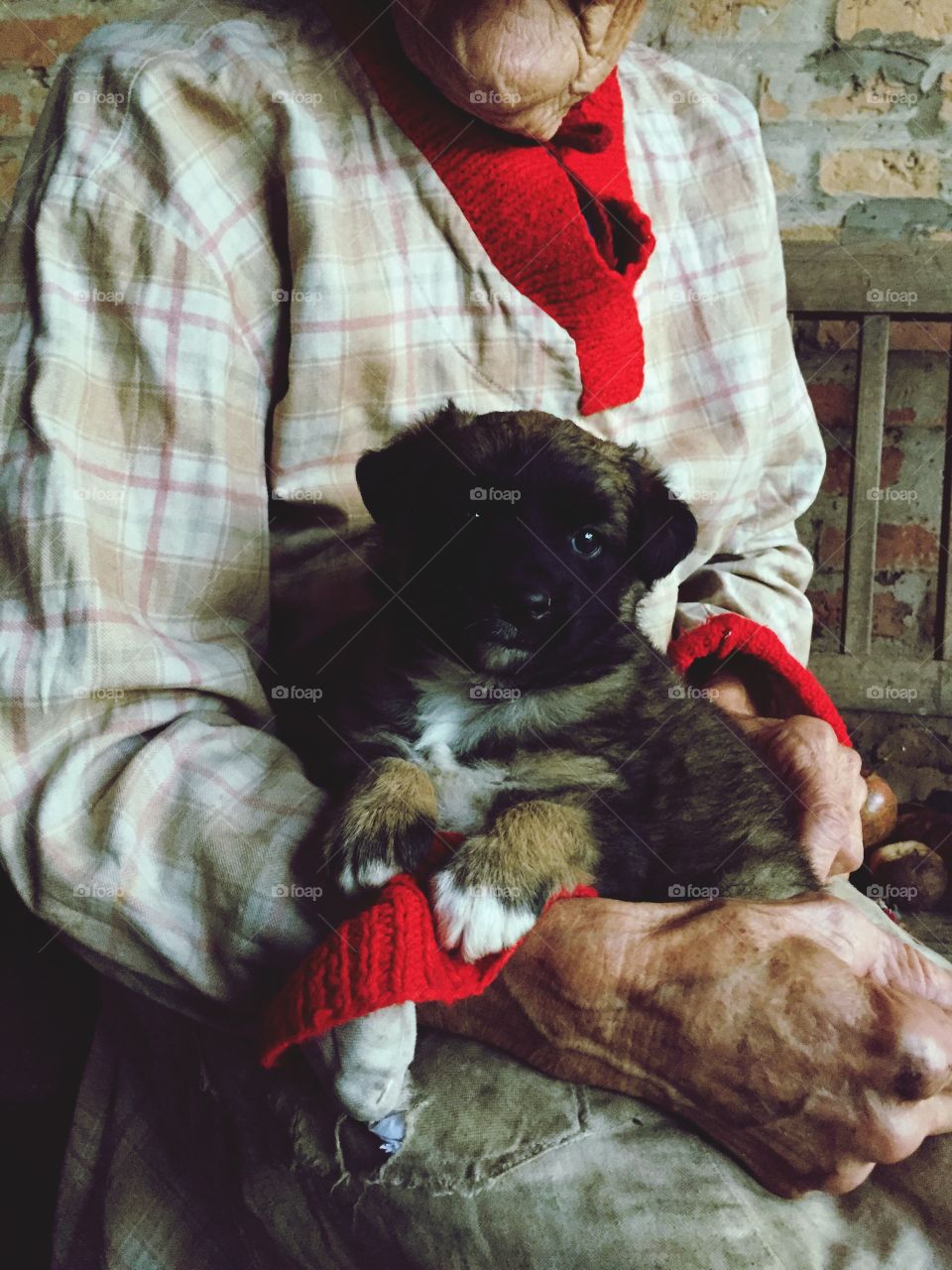 Ma Grandma and her Puppy 