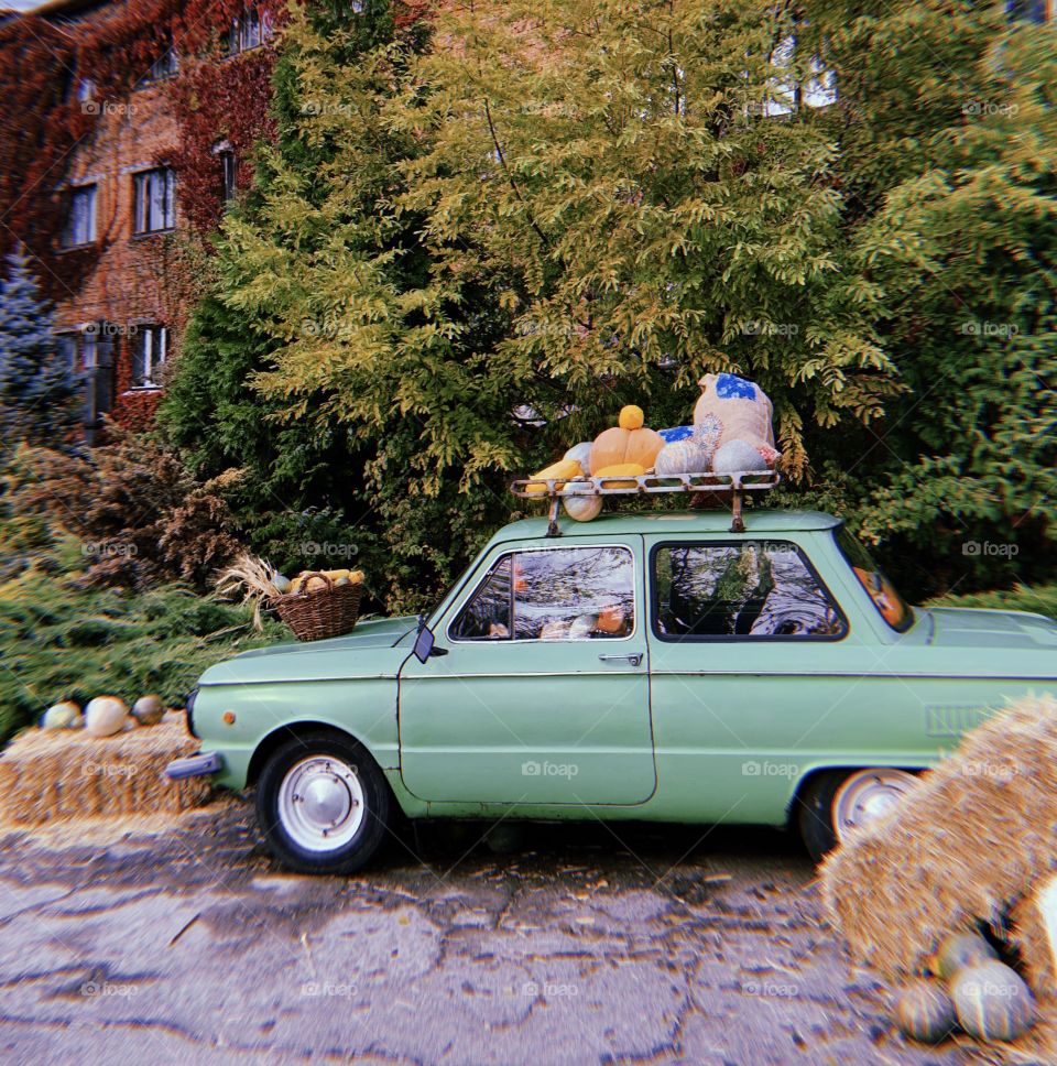 Green retro car with Halloween decoration, pumpkins and haystacks 