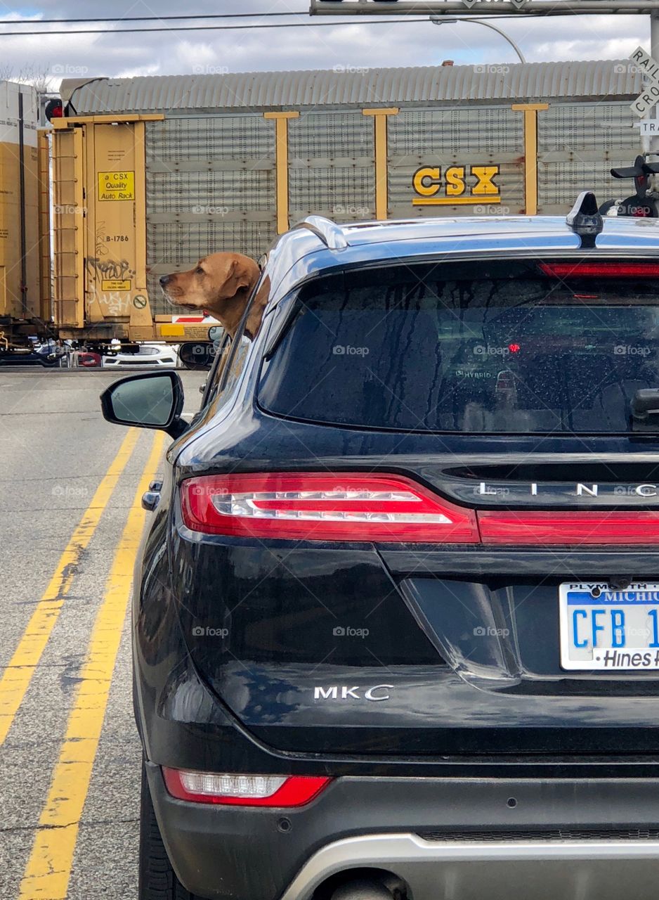 Waiting for the train to pass