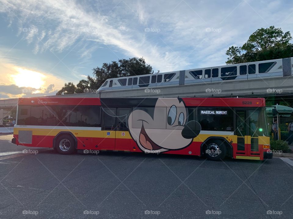 #day123 Everyday WDW Orlando Florida. I have been lost on Disney Properties consecutively since 4/3/19 You can find my encounter https://www.facebook.com/selsa.susanna or on IG selsa_susanna Disney’s Blizzard Beach closed 8-3-19 Saturday