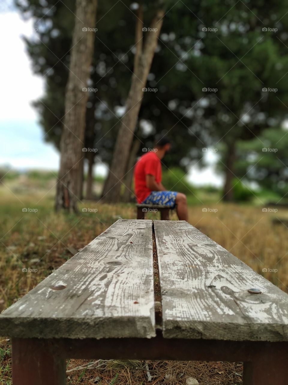 A man sits on a bench in nature