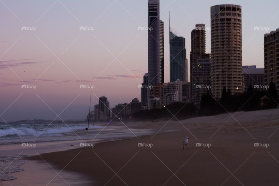 Sunset Surfers Paradise Beach